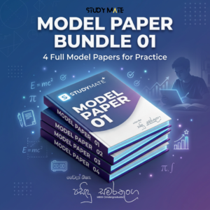 Model Paper Bundle 01